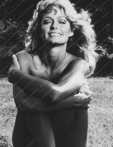 sexy and bare Farrah Fawcett portrait dp-9555