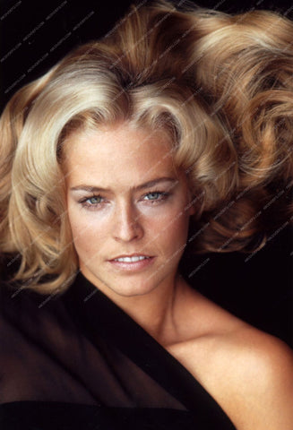 glamourous Farrah Fawcett portrait 8b20-9577