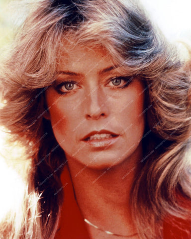 beautiful Farrah Fawcett portrait 8b20-9602