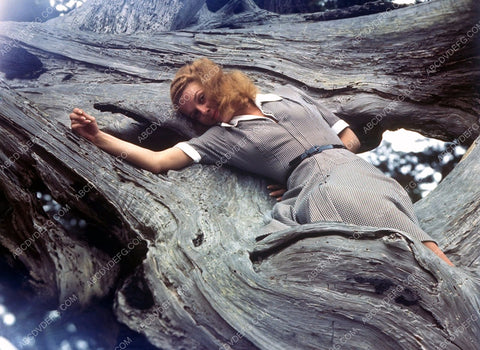 Ann Sheridan film Edge of Darkness 8b20-9888