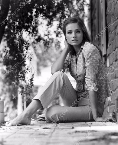lovely Eva Renzi sitting on the sidewalk 8b20-9903