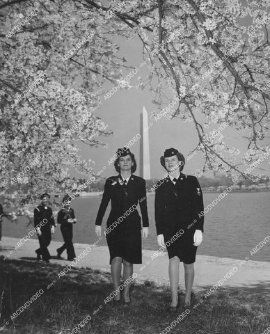crp-00071 1945 Coast Guard PR photo SPARS Frances Naughton & Eileen Van Dree cherry blossoms Washington DC crp-00071
