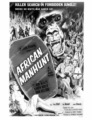 crp-10173 1955 Myron Healey, Karin Booth poster art film African Manhunt crp-10173