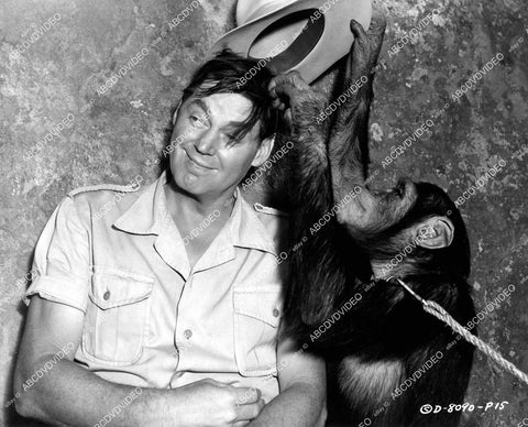 crp-10653 1952 Johnny Weissmuller & Tamba the chimp Jungle Jim film Voodoo Tiger crp-10653