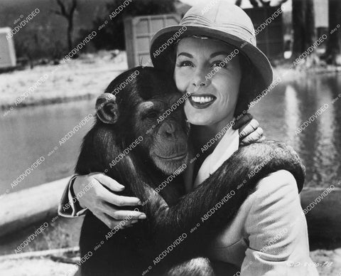 crp-10673 1952 Jean Byron in pith helmet & Tamba the chimp Jungle Jim film Voodoo Tiger crp-10673