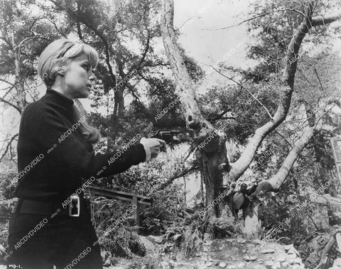 crp-01068 1968 original photo Terry Moore w her pistol in the jungle film A Man Called Dagger crp-01068