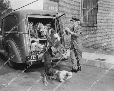 crp-11079 1951 Dick Powell frees the canines from dog catcher wagon film You Never Can Tell crp-11079