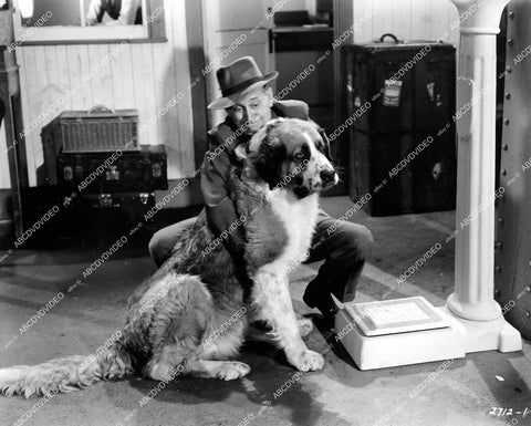 crp-11730 1941 Hollywood film animals Henry Taylor w Saint Bernard dog Pete Smith short subject Quiz Biz crp-11730