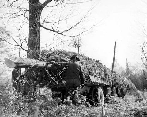 crp-11823 1951 news photo Gulliver Michigan Christmas Tree selected for display Marshall Fields dept store crp-11823