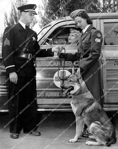 crp-12251 1942 Sgt Van Alstyn, Mrs Lester White, Marjorie Bowles w dog & Red Cross Woody station wagon crp-12251