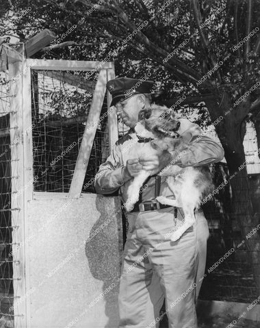 crp-12363 1941 Hollywood film animals Pard the dog quarantined & arrested by Burbank officer John Suppon crp-12363