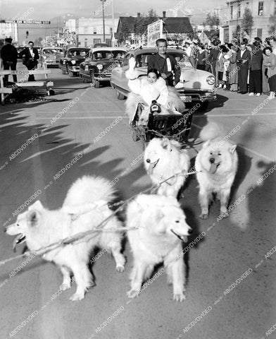 crp-12365 1952 Ann Blyth arrives Anchorage Alaska by dog sled for film premiere The World in His Arms crp-12365