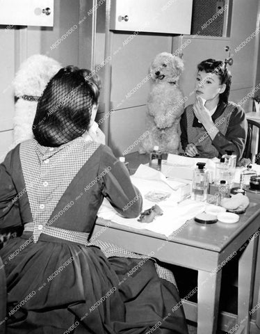 crp-12367 1948 Hollywood film animals July the dog watches June Allyson at makeup table film Little Women crp-12367