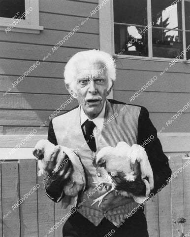 crp-01264 1981 Alan Napier w some chickens TVM The Contest Kid Strikes Again crp-01264