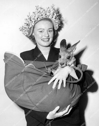 crp-12782 1950's Hollywood film animals Joey the kangaroo tours country w Loretta North crp-12782