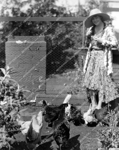 crp-13040 1920's opera singer Mary Lewis feeding chickens at Brentwood Hollywood home crp-13040