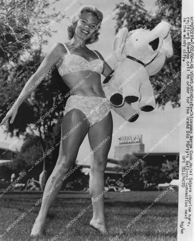 crp-13114 1960 news photo sexy Marge Cook in bikini w stuffed elphant at Sahara Hotel Las Vegas vintage pinup pose crp-13114