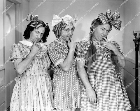 crp-13931 1940 3 Stooges Moe Larry Curly short subject film Nutty But Nice crp-13931