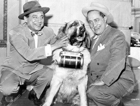 crp-14284 1945 Ole Olsen, Chic Johnson and st bernard dog film See My Lawyer crp-14284