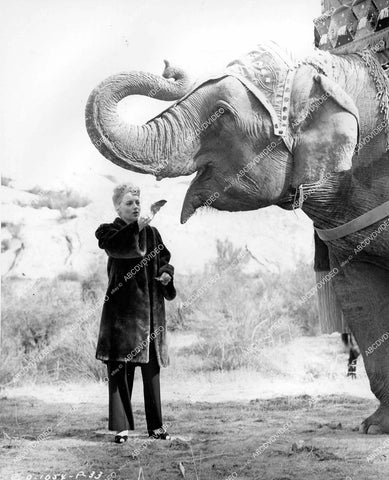 crp-14411 1945 Evelyn Keyes and elephant on location film A Thousand and One Nights crp-14411