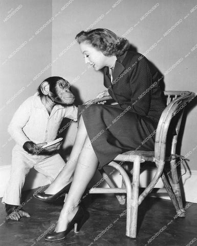 crp-14454 1951 Evelyn Keyes & Bonzo the chimp crp-14454