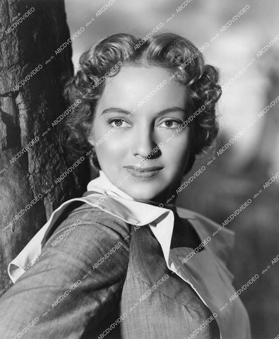 crp-14480 1941 beautiful Evelyn Keyes portrait film Ladies in Retirement crp-14480