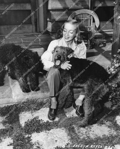 crp-14544 1947 Evelyn Keyes w the dogs in backyard at home crp-14544
