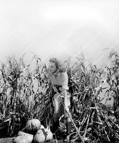 crp-14558 1943 beautiful Evelyn Keyes working in her pumpkin patch crp-14558
