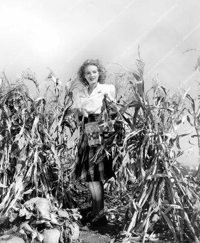 crp-14565 1943 beautiful Evelyn Keyes working in her pumpkin patch & vegetable garden crp-14565