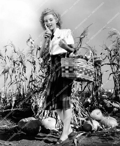 crp-14566 1943 beautiful Evelyn Keyes working in her pumpkin patch & vegetable garden crp-14566
