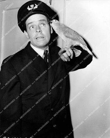 crp-14993 1944 Arthur Lake w Chiquita the parrot film Sailor's Holiday crp-14993