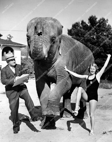 crp-15184 1930's Detect Lt Arthur Gottlieb & Marjorie Gestring w elephant Anna May at Calif Zoological Gardens crp-15184