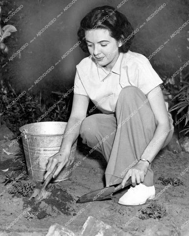 crp-15332 1936 Lila Lee working in the garden crp-15332