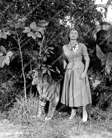 crp-15694 1952 Jean Dean w a tiger film Voodoo Tiger crp-15694