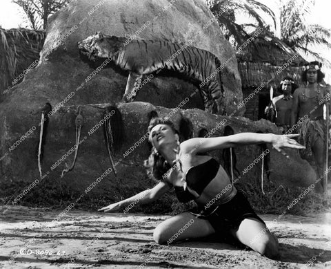 crp-15695 1952 sexy Jean Dean w a tiger film Voodoo Tiger crp-15695