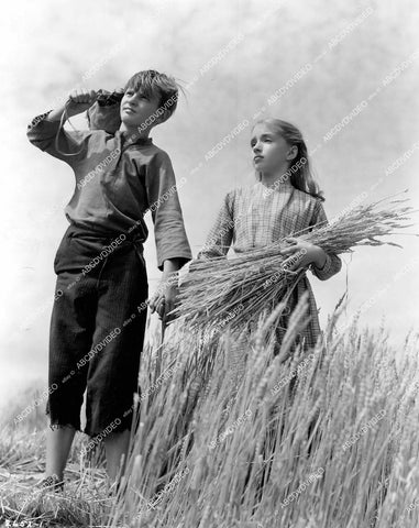 crp-16055 1939 Donald Douglas MGM short subject film Mark Carleton aka Forgotten Victory (Russia's Kubanke wheat) crp-16055