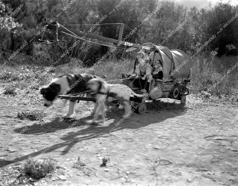 crp-16113 1933 Mickey Rooney w dog driven wagon unknown Mickey McGuire short subject film crp-16113