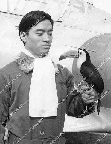 crp-01618 1977 Byron Chung w tucan bird TV Baa Baa Black Sheep Squadron crp-01618