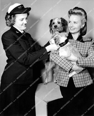 crp-16496 1945 Janet Blair & Pat Searles induct dogs into WWII WAVE program crp-16496