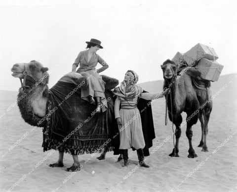 crp-16573 1919 Lou Tellegen, Geraldine Farrar w camel caravan silent film Flame of the Desert crp-16573