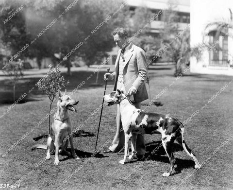 crp-17420 1928 director Jack Conway's dogs silent film Bringing Up Father crp-17420