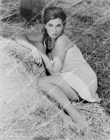 crp-00175 1962 Italian beauty Scilla Gabel wrapped in a towel out in the hay film Village of Daughters crp-00175