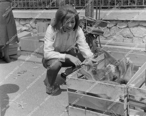 crp-01763 1963 candid Liliane Brousse w baby ostrich birds on location Hammer film Maniac crp-01763