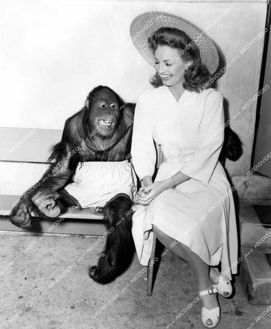 crp-17830 1943 Janet Blair w Jiggs the chimp monkey on set film Something to Shout About crp-17830