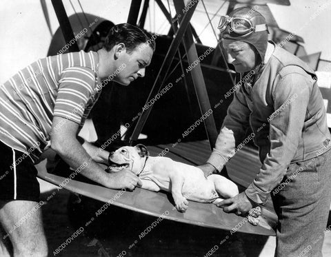 crp-18123 1934 William Gargan establishes Aerial Ambulance Service for dogs & pets w cute bulldog Lady Nagrag crp-18123