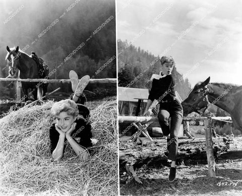 crp-18288 1957 Elaine Stewart relaxing & clowning around on location film Night Passage crp-18288