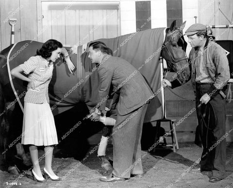 crp-18331 1940 Robert Young, Maureen O'Sullivan, William Gargan film Sporting Blood crp-18331