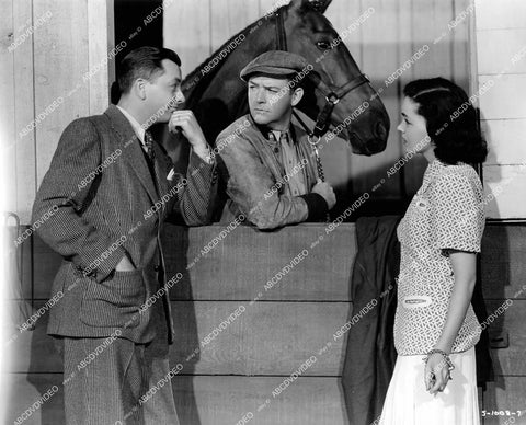 crp-18365 1940 Robert Young, Maureen O'Sullivan, William Gargan film Sporting Blood crp-18365