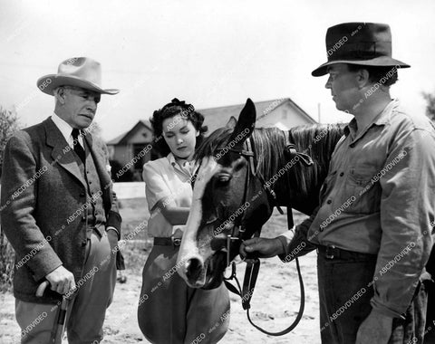 crp-18366 1940 Lewis Stone, Maureen O'Sullivan film Sporting Blood crp-18366