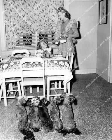 crp-18414 1945 Penny Singleton w child star Marjorie Ann Mutchie & the dogs film Leave it to Blondie crp-18414